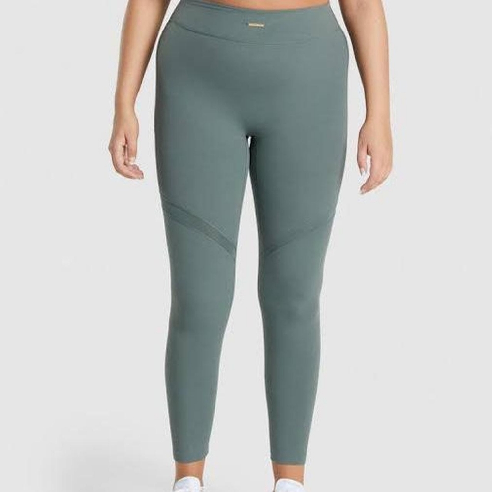 Whitney Simmons V3 Mesh leggings